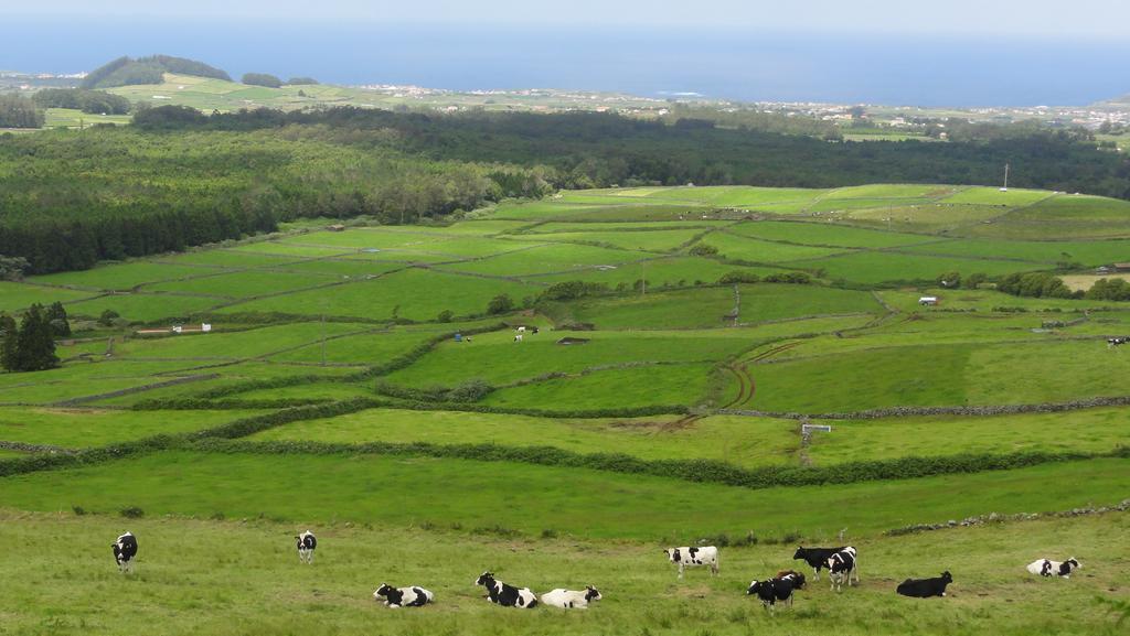 Villa Quinta Do Chico Feijao à Lajes Chambre photo